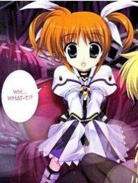 Fate/stay night x Magical Girl Lyrical Nanoha